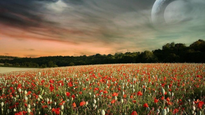 手术时把大脑拿出来还能接回去吗?